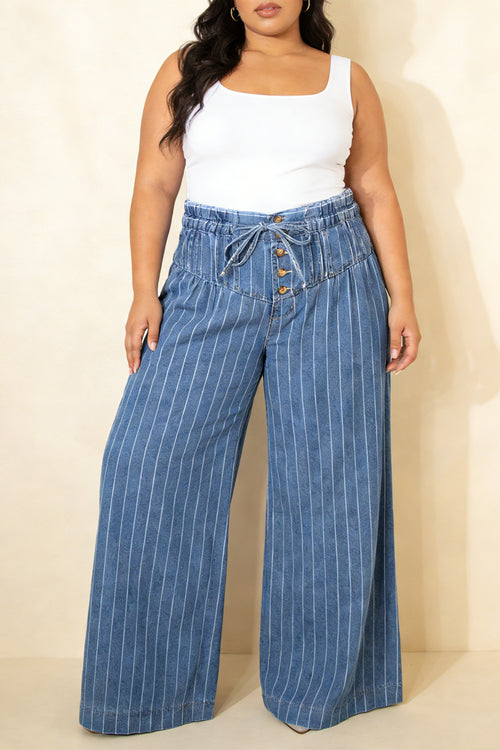 Sky Blue Stripe Plus Size Buttoned Loose Wide Leg Denim Pants - The Nicole Sinzinkayo Co.
