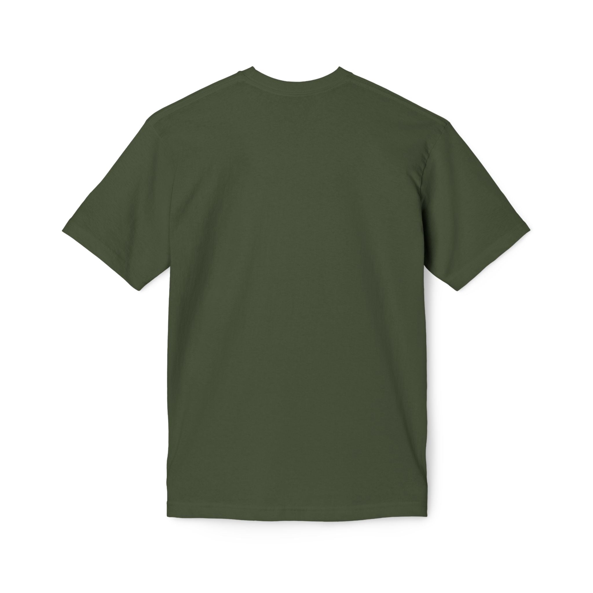 King of Kings Lion T-Shirt – Born of Faith Christian Graphic Tee