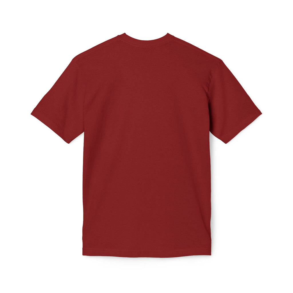 King of Kings Lion T-Shirt – Born of Faith Christian Graphic Tee