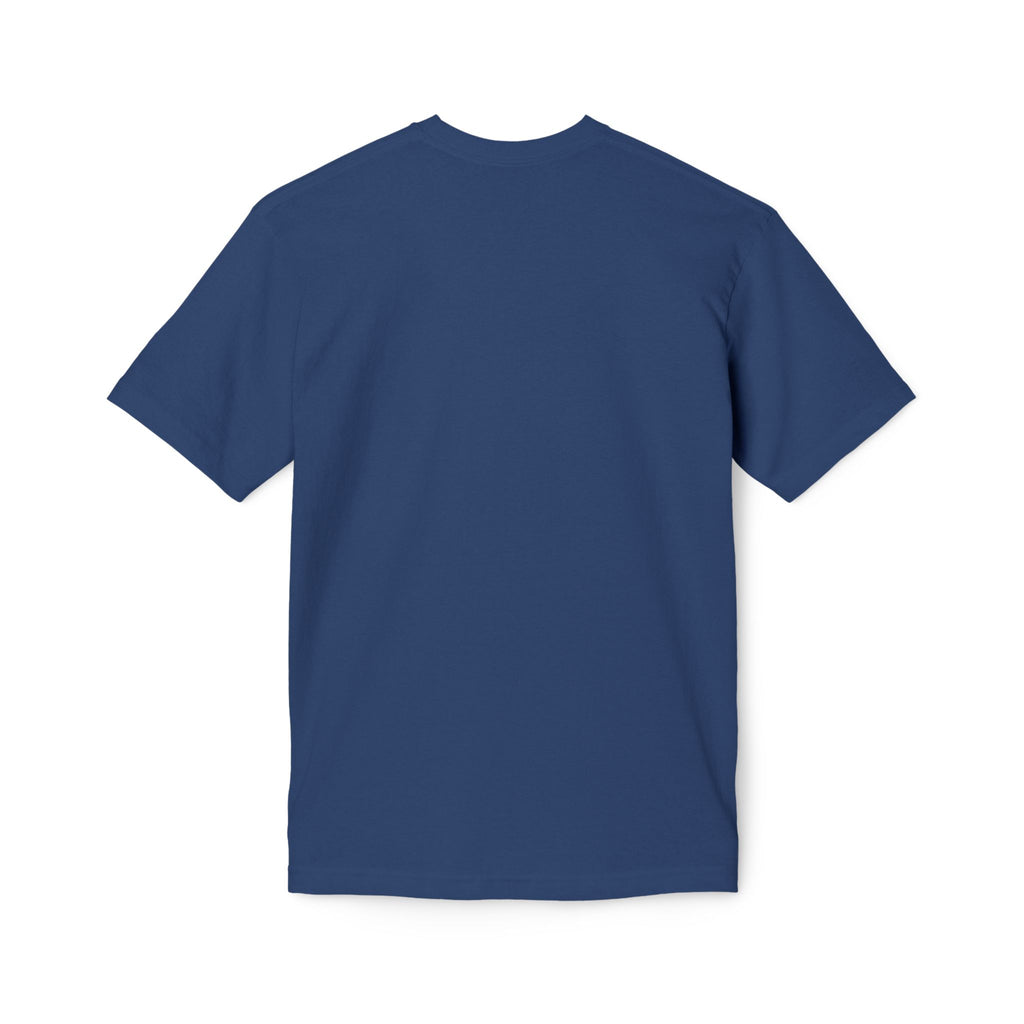 King of Kings Lion T-Shirt – Born of Faith Christian Graphic Tee