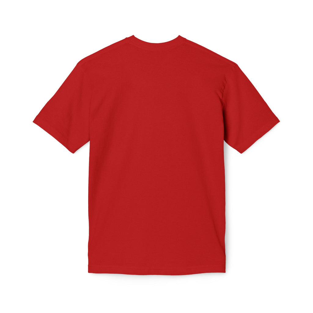 King of Kings Lion T-Shirt – Born of Faith Christian Graphic Tee