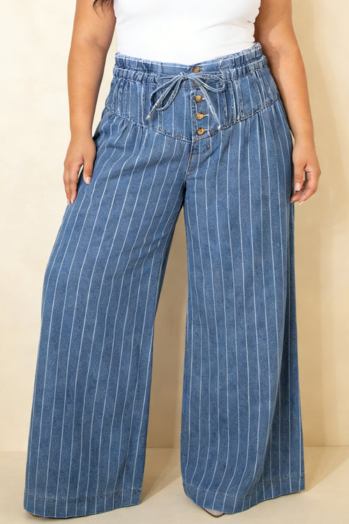 Sky Blue Stripe Plus Size Buttoned Loose Wide Leg Denim Pants - The Nicole Sinzinkayo Co.